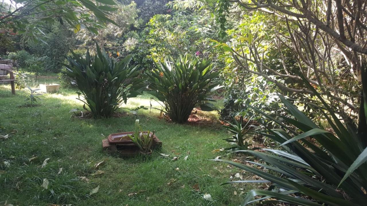 The Cottage-Place Of Grace 2Bdrm And Loft Bed All 4U At Usd58 Nairobi Esterno foto