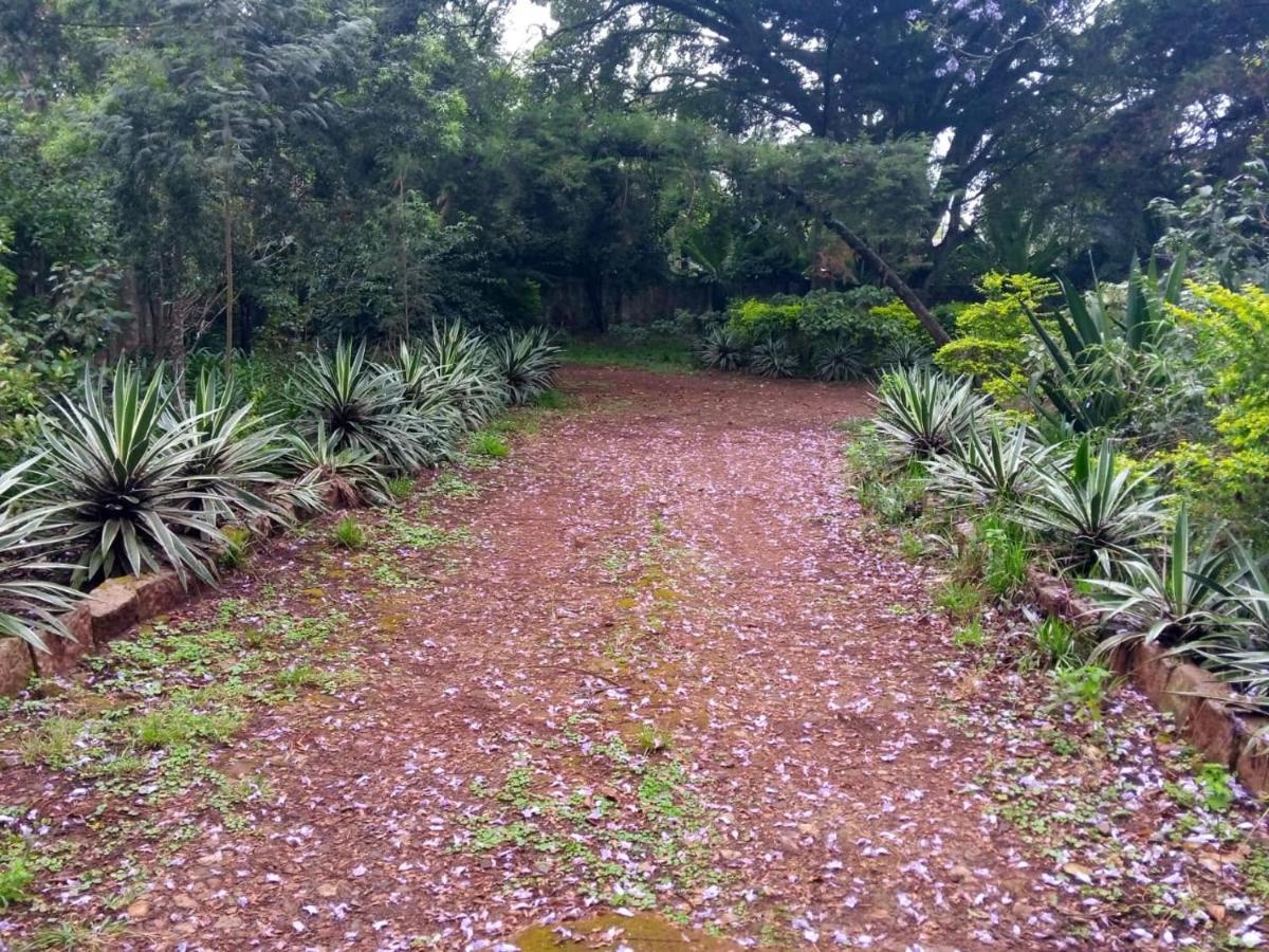 The Cottage-Place Of Grace 2Bdrm And Loft Bed All 4U At Usd58 Nairobi Esterno foto