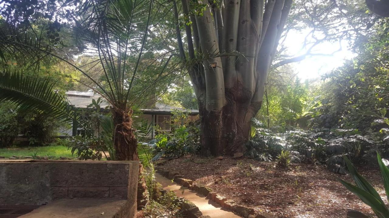 The Cottage-Place Of Grace 2Bdrm And Loft Bed All 4U At Usd58 Nairobi Esterno foto