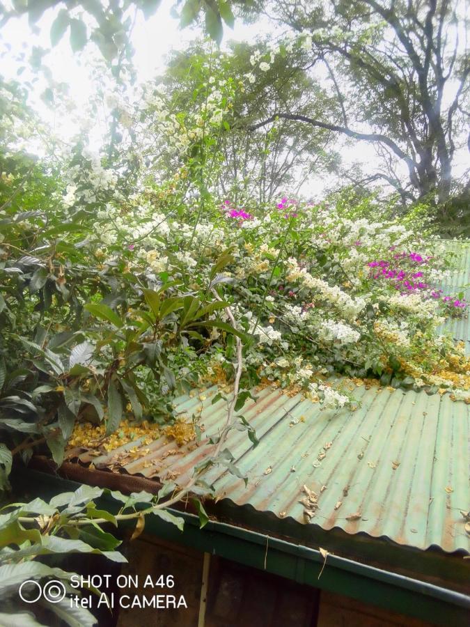 The Cottage-Place Of Grace 2Bdrm And Loft Bed All 4U At Usd58 Nairobi Esterno foto
